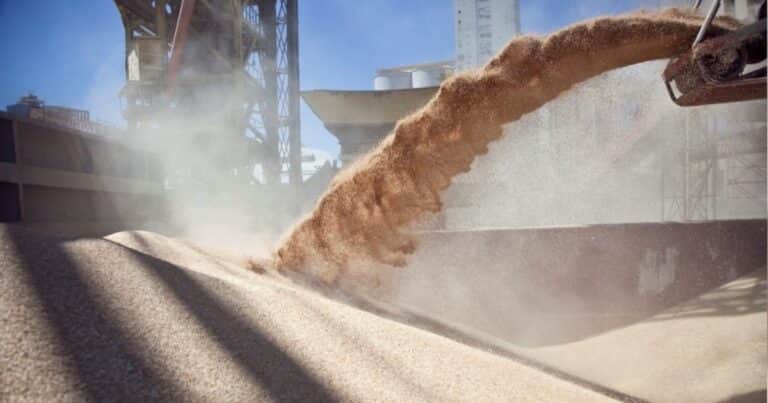 Con mayor volumen de trigo, Argentina diversifica destinos y recupera mercados que hace años no exportaba