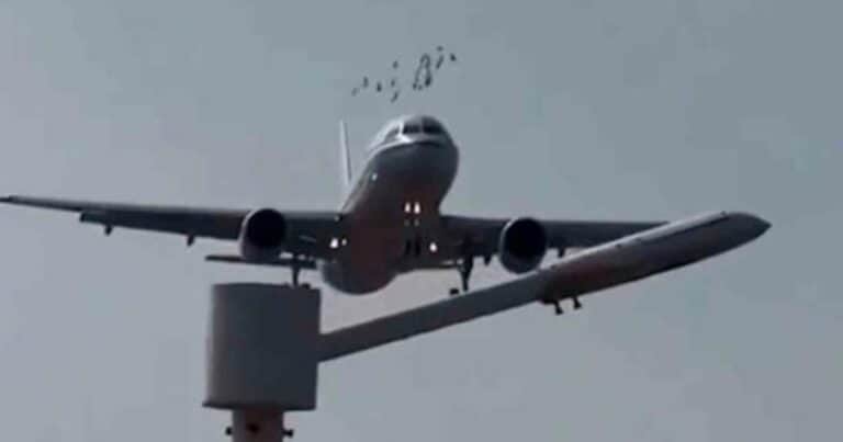 Un avión impactó contra un grupo de pájaros y el video se hizo viral