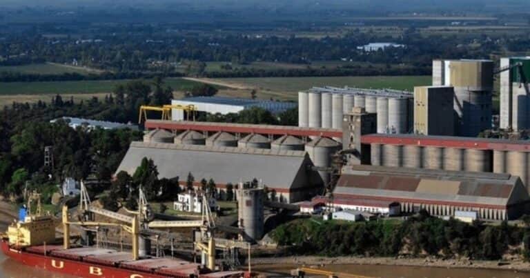 Las empresas que lideraron las exportaciones del campo en 2024