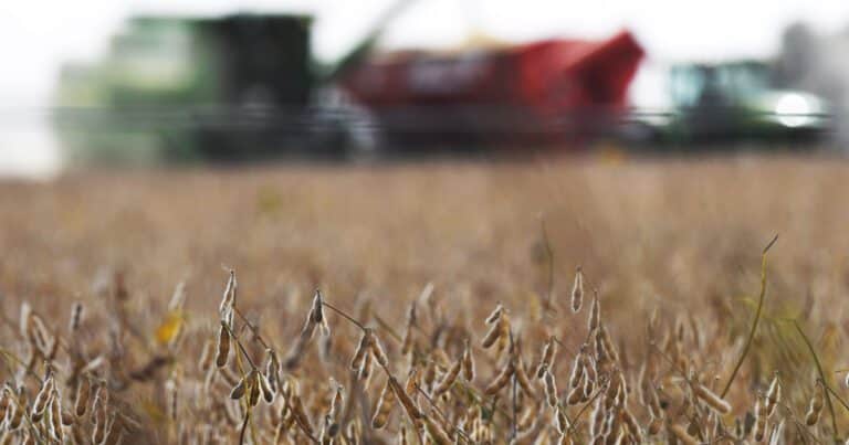 Dólares para la Argentina: las exportaciones del complejo soja son las más altas en cinco años