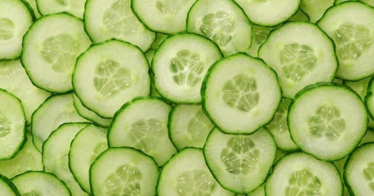 Pepinos frescos en verano: cómo plantarlos y cuidarlos en tu huerto