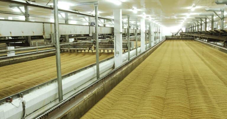 Una maltería nacional alcanzó un record de exportaciones en 2024