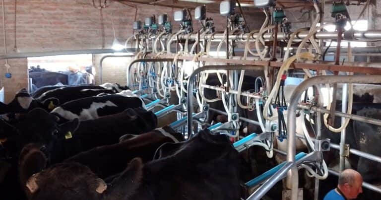 Se unen dos industrias lácteas del interior y mueven el tablero de todo el sector