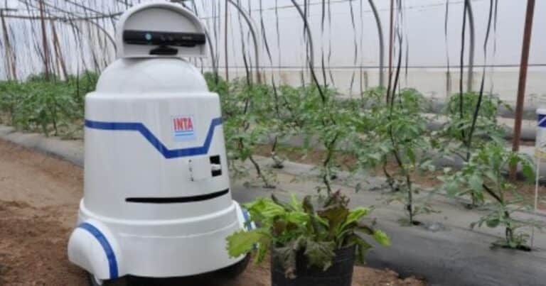 La inteligencia artificial aplicada al agro será el eje de un encuentro en Expoagro