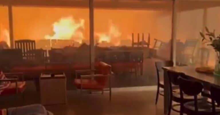 Video estremecedor: dos hombres y su perro quedan atrapados en su casa durante los incendios en Los Ángeles