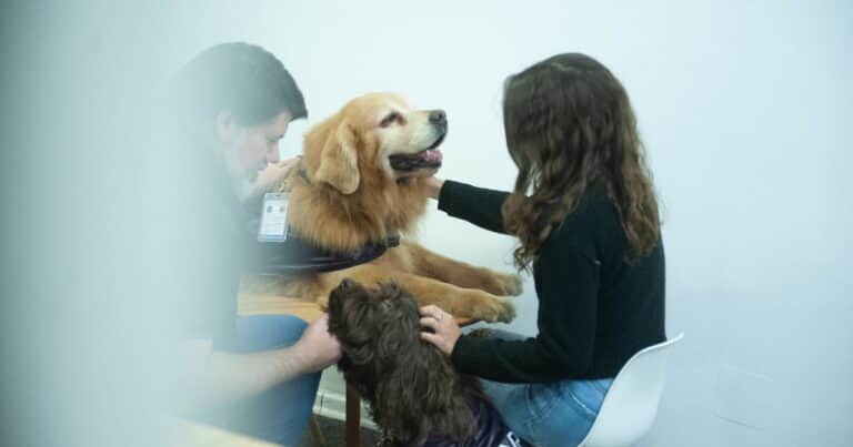 Cómo funciona la primera asociación que brinda ayuda judicial con perros a niños