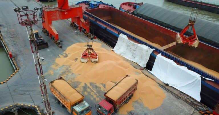 Los vaivenes de la soja: incertidumbre climática y política definirán el rumbo de los mercados globales