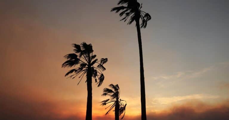 Escenario apocalíptico: los videos de cómo quedó Los Ángeles tras el incendio