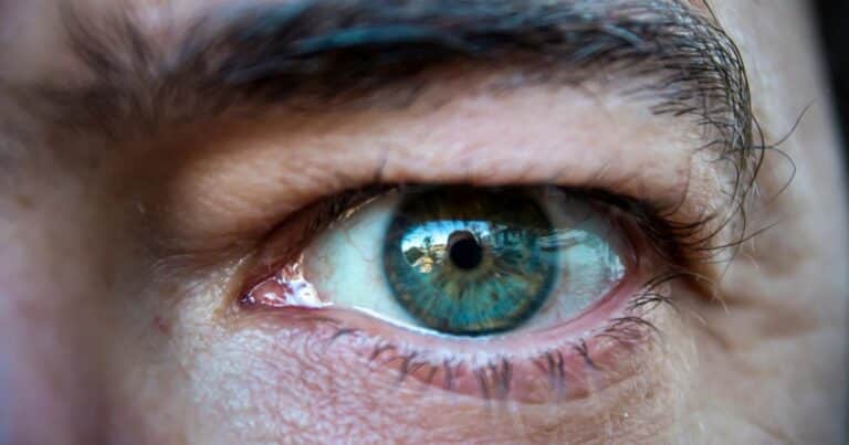 ¿Sentís que te están mirando?: esto es lo que sucede en tu cerebro, según expertos