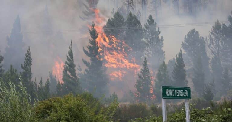 El gobernador de Chubut acusó a los mapuches de la RAM por los incendios y Patricia Bullrich denunció un atentado terrorista