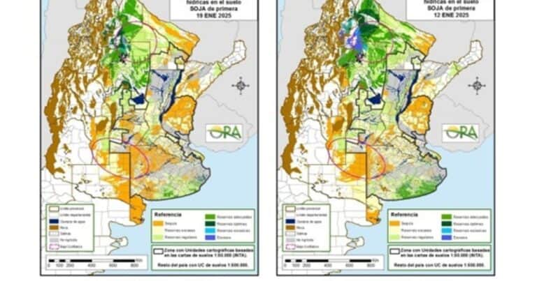 Las lluvias no alcanzaron y los cultivos sufren la sequía: cómo están las reservas de agua en cada región