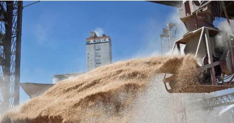 Calculan que el campo aportará casi US$ 45.000 millones por exportaciones en 2025