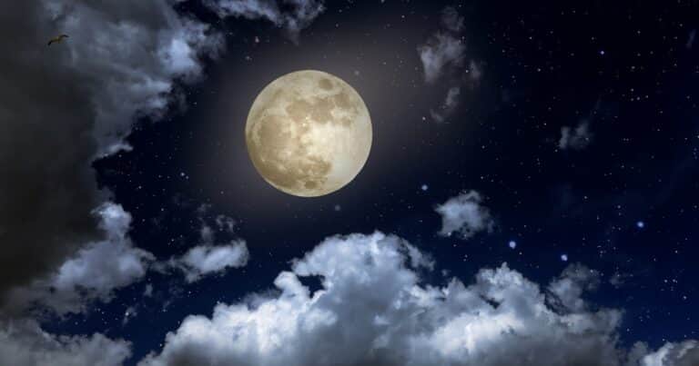 Insólito: incluyen a la Luna en la lista de sitios culturales amenazados