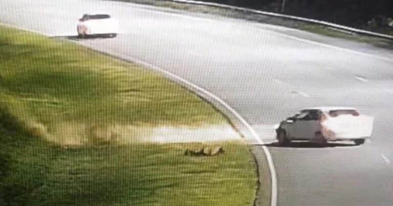 Llevaban droga en un auto, los pararon en un control policial y terminaron arrastrando a un agente durante 6 kilómetros