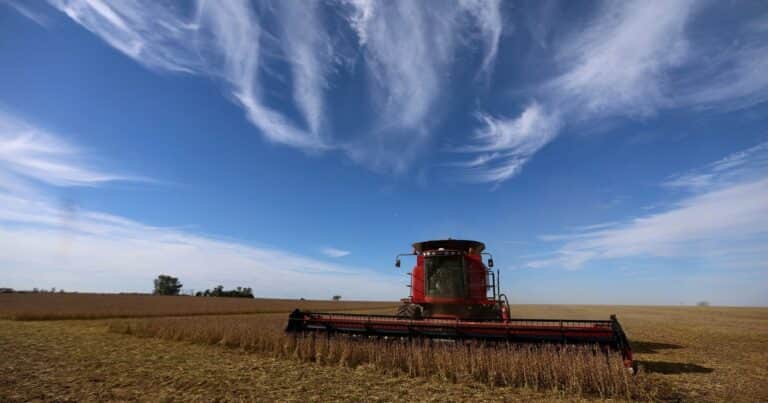Superávit comercial récord: en 2024 llegó a US$ 18.899 millones de la mano del campo, la energía y las importaciones retraídas