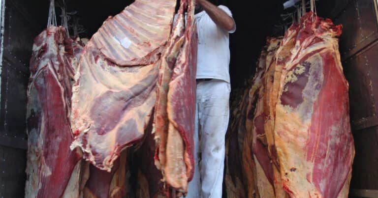Cayó la faena de bovinos en 2024: casi 14 millones de cabezas