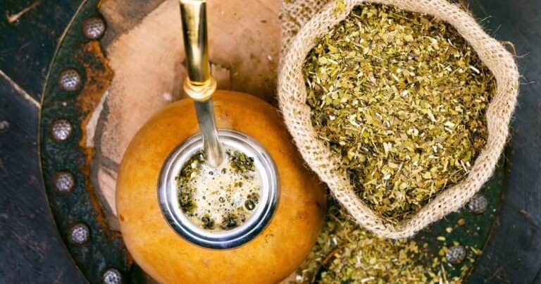Hito científico: investigadores argentinos descifran el genoma de la yerba mate