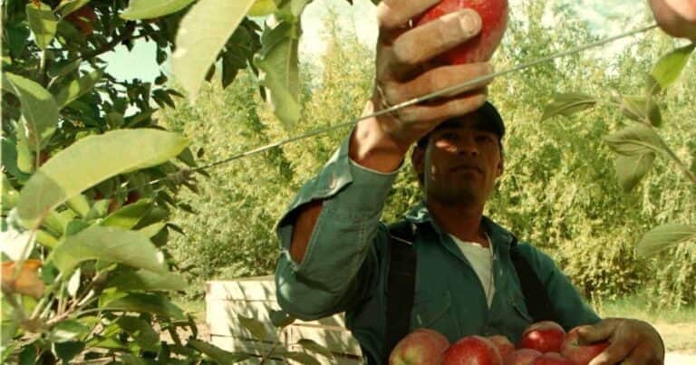 El gobernador de Río Negro se puso al frente del reclamo frutícola por un alivio impositivo