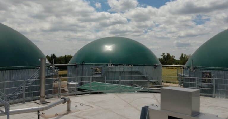 El huevo, un negocio redondo: a partir del desperdicio animal producen energía eléctrica a partir den inédita innovación
