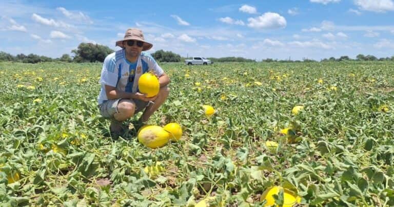 El productor que ayudó al Gobierno a desregular una actividad modificó su negocio y ahora apunta a exportar su producción