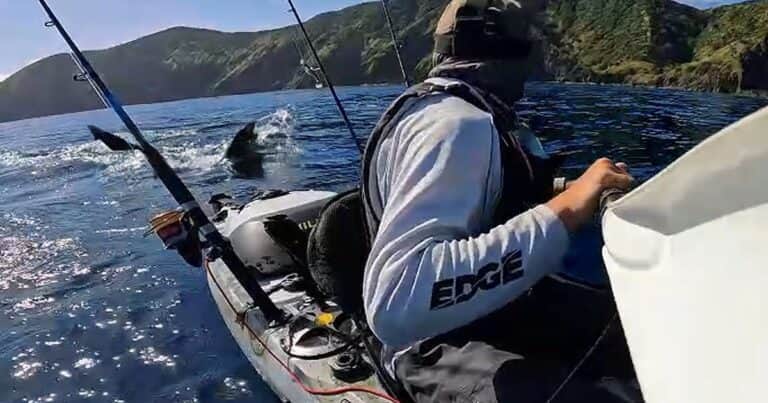 «Por favor no me ataques»: el aterrador encuentro de un kayakista con un gigantesco tiburón blanco