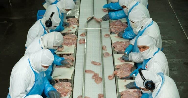 Argentina logró la apertura del mercado de Corea para la exportación de carne aviar