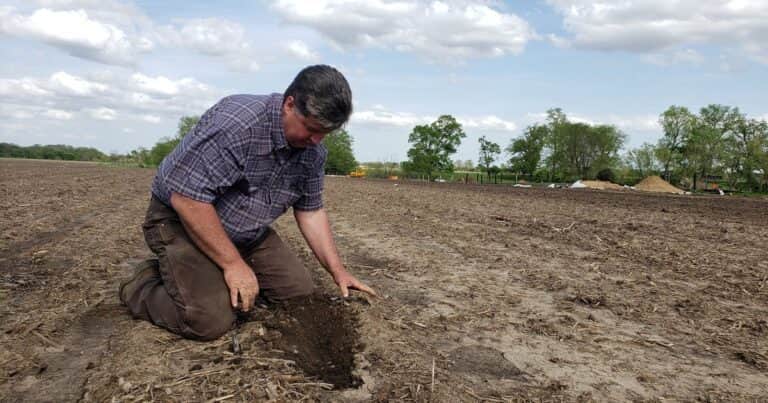 El agro en EE.UU.: entre promesas económicas y amenazas globales