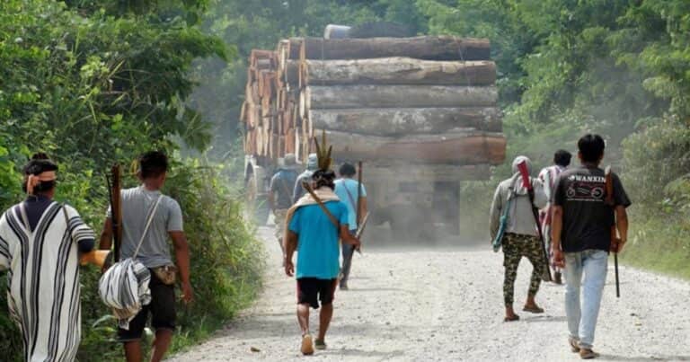 Horror en la selva peruana: un hombre enterró vivo a un niño de 11 años por brujería
