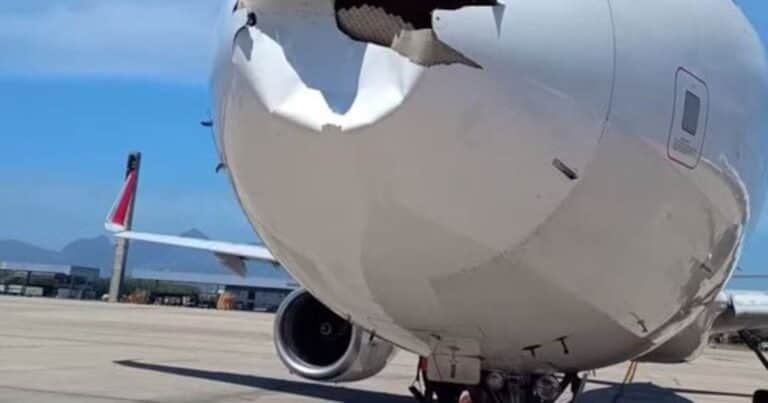 Un avión chocó contra un pájaro y tuvieron que suspender el vuelo: las impactantes imágenes