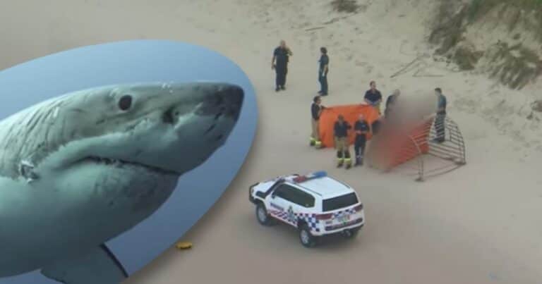 Un tiburón mató a una chica de 17 años que nadaba tranquila en una playa de surf