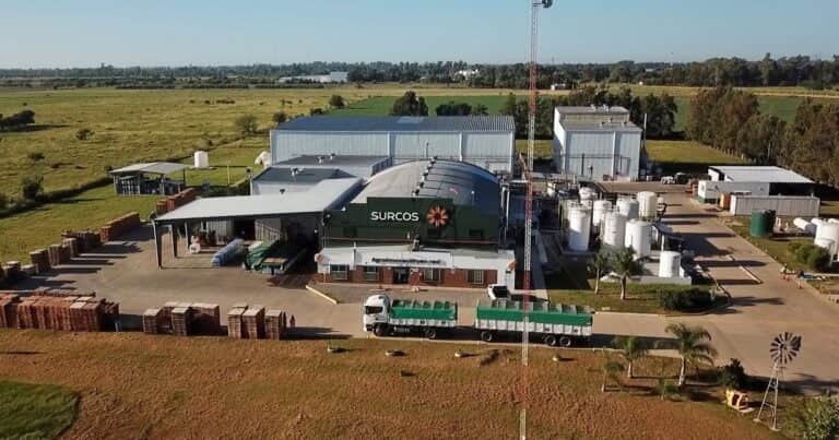 Una de las empresas del agro que entró en concurso preventivo de acreedores despidió el 20% del personal