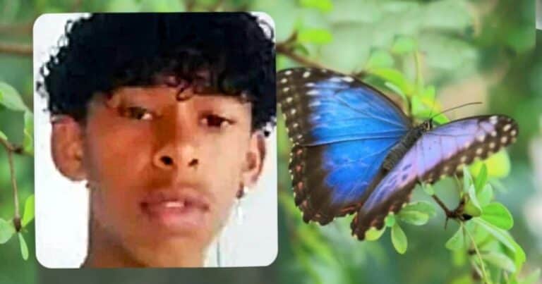 Murió a los 14 años por inyectarse fluido de una mariposa en un reto viral