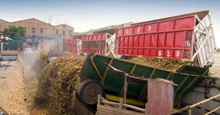 Penurias y oportunidades del sector sucroalcoholero argentino