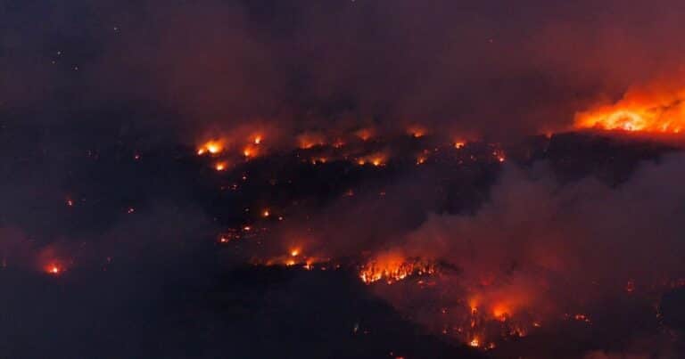 Por los incendios, se suspendió la exposición Rural de Bariloche