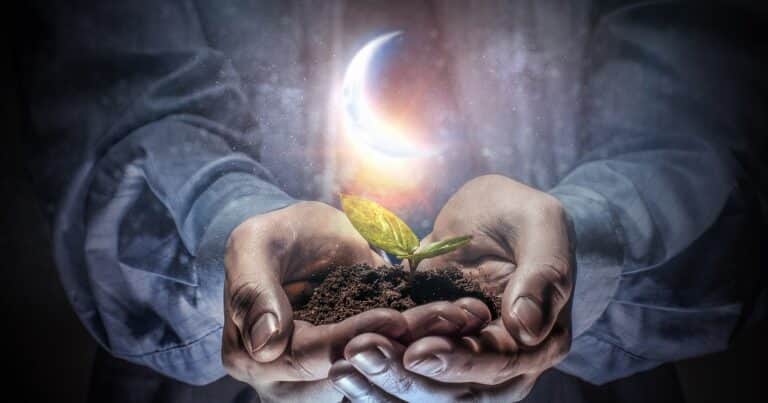 Luna nueva en Piscis del 27 de febrero 2025: rituales para atraer riqueza, amor y buena energía