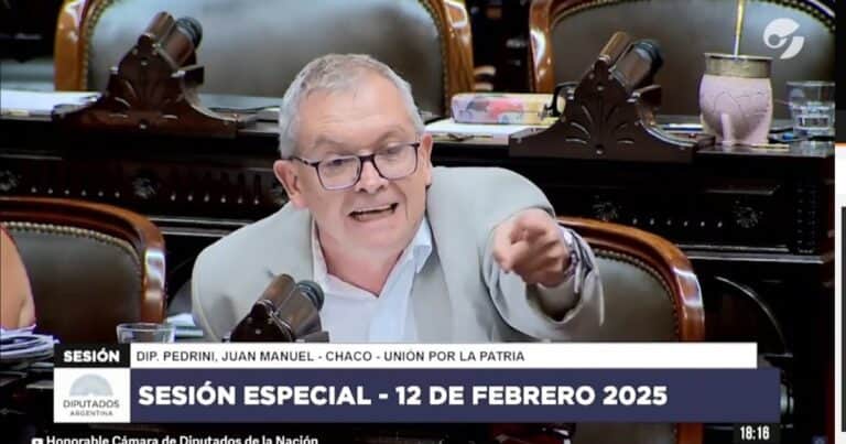 «¿Qué loco? ¡Pelotudo!», gritos e insultos entre un diputado kirchnerista y un aliado de Javier Milei por Ficha Limpia