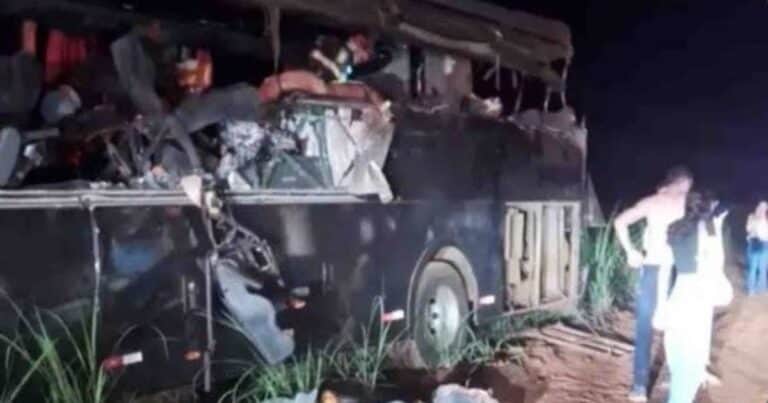 Tragedia en Brasil: murieron 12 estudiantes universitarios al chocar contra un camión en la ruta