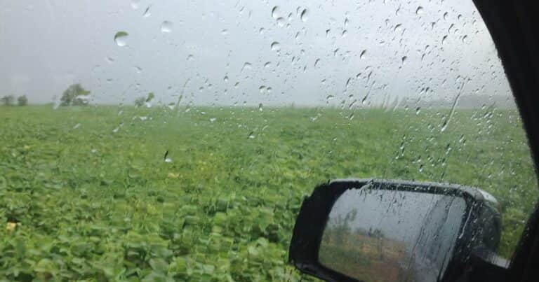 ¡Esto es lluvia! Cuánta agua cayó en cada localidad