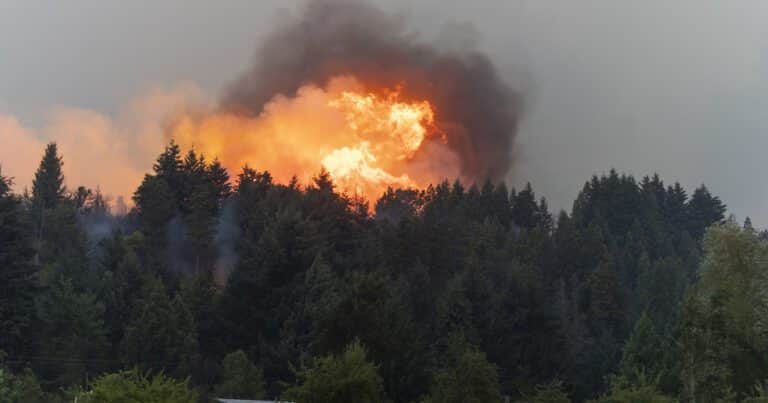 Polémica por el combate del fuego: la nueva Agencia de Emergencias replicaría un organismo creado por Macri