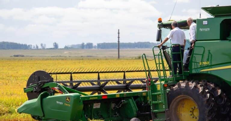 El arroz se renueva con nuevas semillas de calidad, sanidad y más rinde