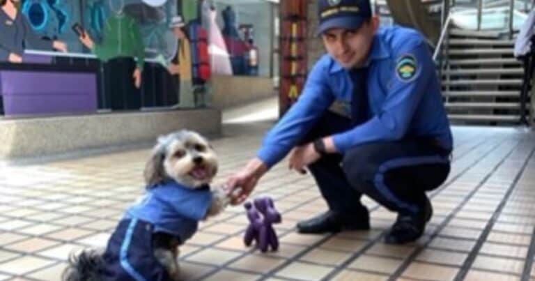 El perro guardián que usa uniforme como su dueño: la tierna historia detrás de la foto