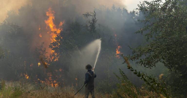El Gobierno transfirió la Dirección Nacional de Manejo del Fuego al Ministerio de Seguridad Nacional