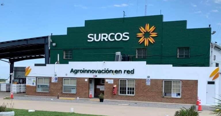 Como castillos de naipes en el agro: luego del default, Surcos también cayó en concurso preventivo