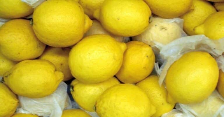 En 2024 la agroindustria argentina logró un superávit comercial de 39.000 millones de dólares
