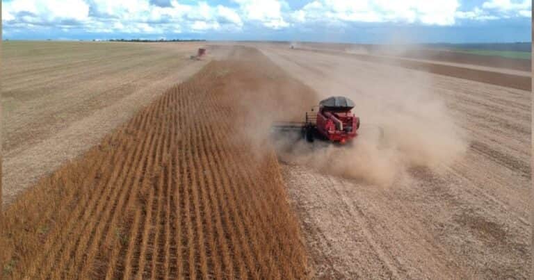 La región que más rápido se ha desarrollado en los últimos años ya es el principal socio comercial del agro argentino