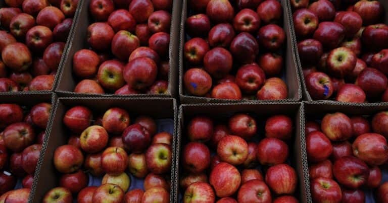 Modificaron el sistema de inscripción para el empaque y almacenamiento de frutas y hortalizas