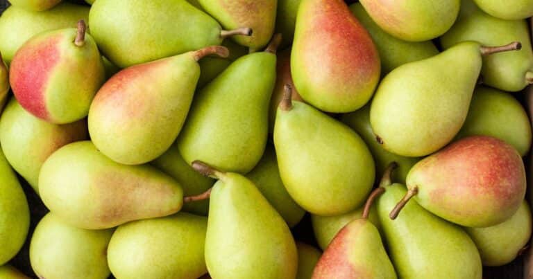 «Histórica desregulación»: nueva normativa para mejorar la calidad y comercialización de frutas en Argentina