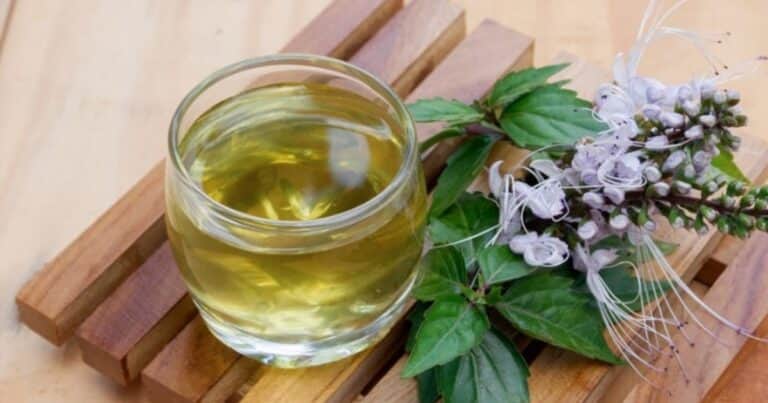 La infusión para limpiar los riñones y bajar la presión arterial que pocos conocen