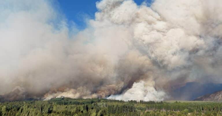 Campaña solidaria en el campo: entregan fardos para ayudar a productores afectados por los incendios en el sur del país