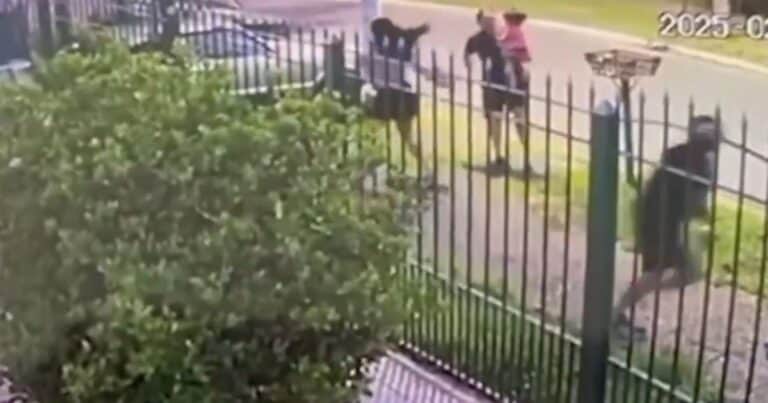 Ciudad Evita: una joven fue atacada a puñaladas por asaltantes mientras tenía a su bebé en brazos